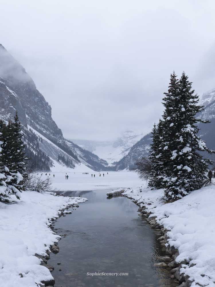 Frozen lake Louise Banff winter Snowy winter scene at Lake Louise in Banff National Park with people ice skating on a frozen lake, surrounded by pine tress mountains, and a partially frozen stream in the foreground