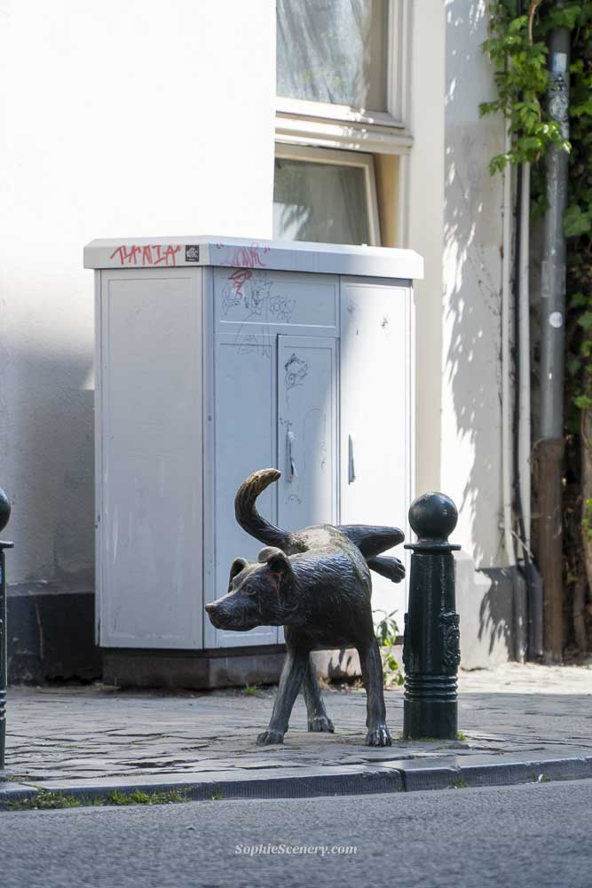 The famous Zinneke Pis peeing dog statue in Brussels, Belgium, photographed on a city street surrounded by historic European architecture.