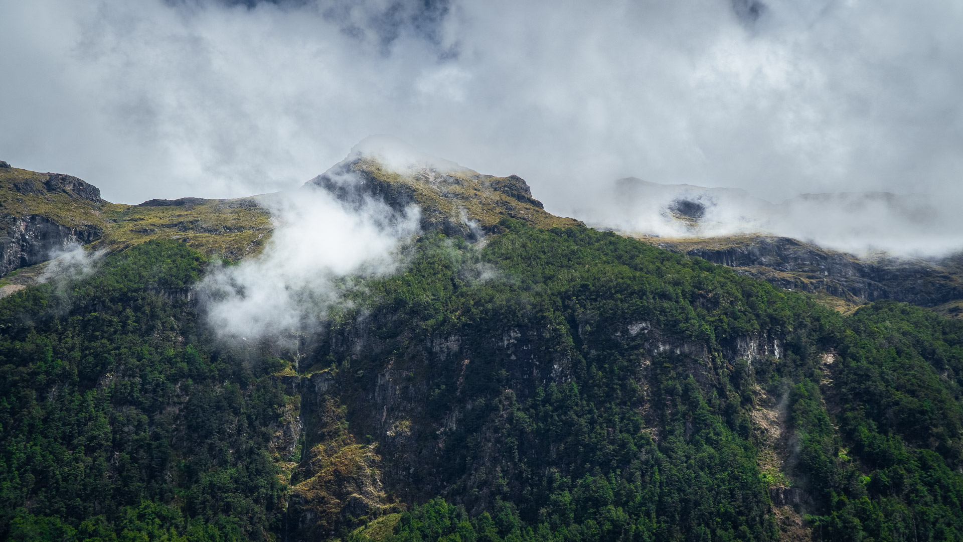 Wild New Zealand: A Guide to the Most Impressive Stops on the South Island